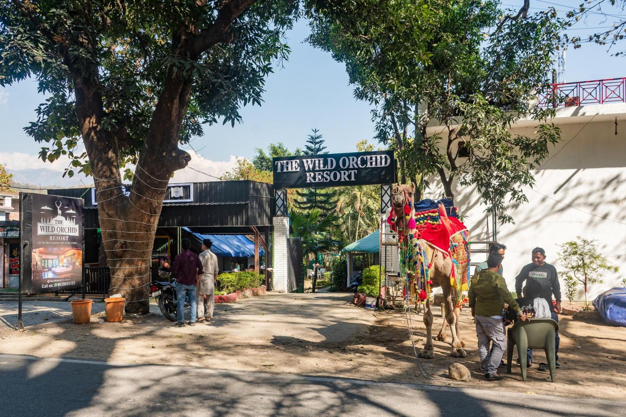 The Wild Orchid Resort Corbett Рамнагар Екстериор снимка